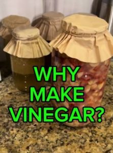 Why Make Vinegar?